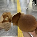 로띠번 이미지
