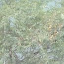신천로 이미지