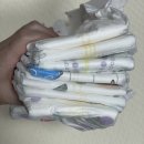 모모268 | 기저귀 유목민의 기저귀 정착기(2025년 ver. 밴드형)