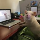 원데이클래스 이미지