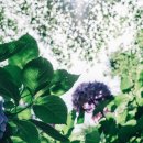 타임헤어샵 이미지