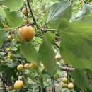 산뒤 마을 이미지