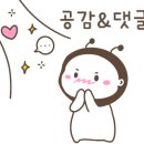 서초중앙로8길 38-38 이미지