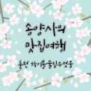 하이볼술집수컷웅춘천강원대점 이미지