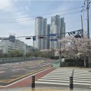 마크로엔부동산중개사무소 | 부동산 투자의 성공 첫걸음, 마크로엔부동산 스마일부동산에서 시작하세요!