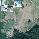 울릉하하 Daum카페