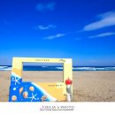 고래불 해수욕장 이미지