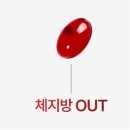 버닝다이어트 티스토리