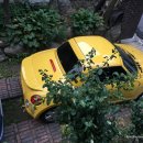 아이카 닥터 이미지