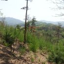 마명산(강하면) 티스토리