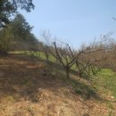 자개1리 이미지