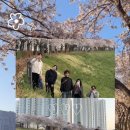 신기강변로 네이버블로그