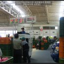 안동청과 이미지