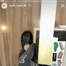 코쿤스토리 이미지
