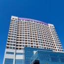 타니베이 호텔 | 울산 | 전객실 오션뷰 일산해수욕장 타니베이 호텔 숙박 후기 (패밀리트윈, 조식, 일출)
