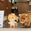 주누정육점