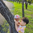 인천뉴코아아울렛 아가방 이미지