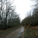 부엔 능선의 까미노 이야기 12. 이미지