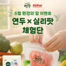 환경의 날 기념! 실리팟X연두 콜라보 체험단 모집