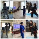 스텝업태권도