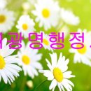 진 외국어번역행정사 사무소 이미지