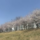 우리나현유치원 이미지