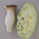 굴다리 PC | 리트 공부법 언어이해 추리논증 고득점 후기 합격자 선행 무료 무물 안내