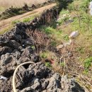 일주동로 이미지