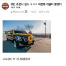커라 이미지