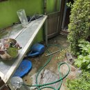 사림동141 이미지