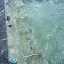 메트로팰리스1 A | 부산 기장 빌라쥬드 아난티 스프링팰리스 수영장 후기