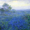 블루보닛의 향연....Julian Onderdonk 이미지