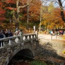 백양사진입로 이미지