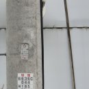 한전농장 이미지