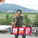 인천조류원 | 🦜부천 버드펠리스 앵무새 분양 후기 | 코뉴어 앵무새 입양 | 앵무새 유조 입양