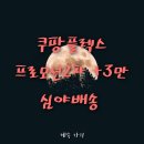 후기)12월10일 쿠팡플렉스 프로모션2차 +3만 심야배송