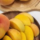 금봉 농장 이미지