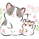 제주인하우스펜션 이미지