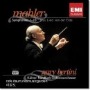 대지의 노래 이미지