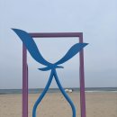 블루베이펜션 | 영덕 고래불 블루베이 애견 동반 펜션