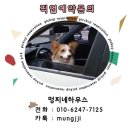 오동하우스 이미지
