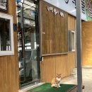 경북 성주 가나안농장 현지인이 추천하는 소고기 한우 맛집