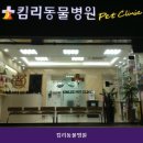 킴리동물병원 | 잠실동물병원 킴리동물병원 주차 편리한 곳으로 유명한 곳의 매장 위치와 주차