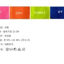 라임블루