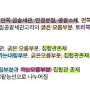 질부곡 이미지