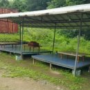 먹골농장 이미지