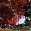 오서목장 이미지