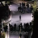 관저서로 이미지