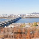 샤넬부동산공인중개사사무소 이미지