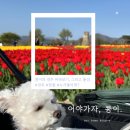 프롬에이치 아모르호텔 마산점 | [전국일주 day 7]콩이의 경주 바라보기(feat. 창원 돝섬)